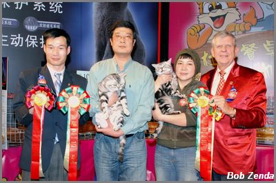 Cat Life Cattery winners